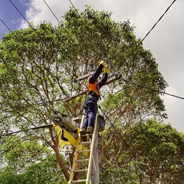 Hornsby Level 2 electrician from Dave Fenech Electrical Services installing and repairing overhead electrical connections.